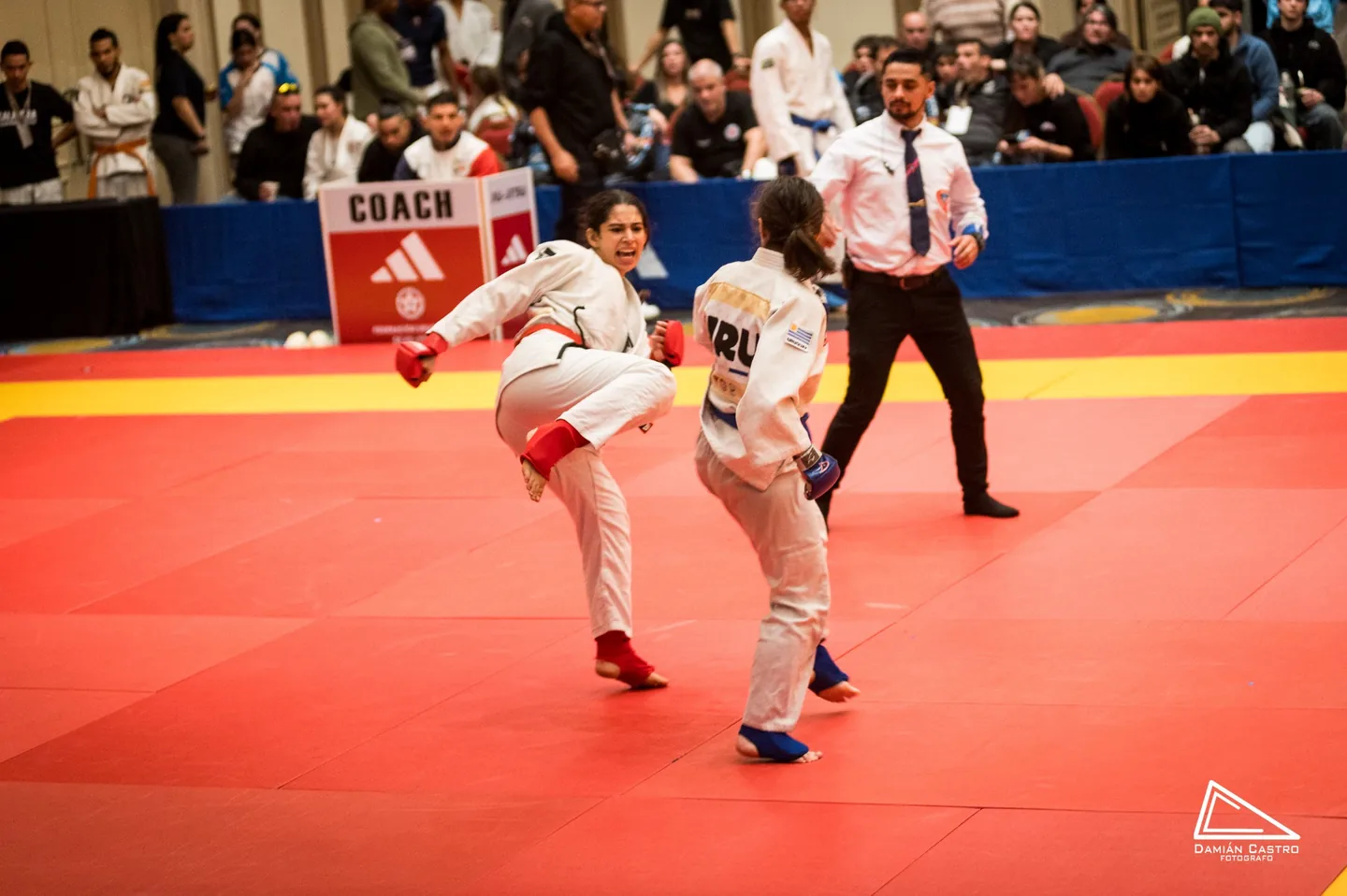 Competición de artes marciales
