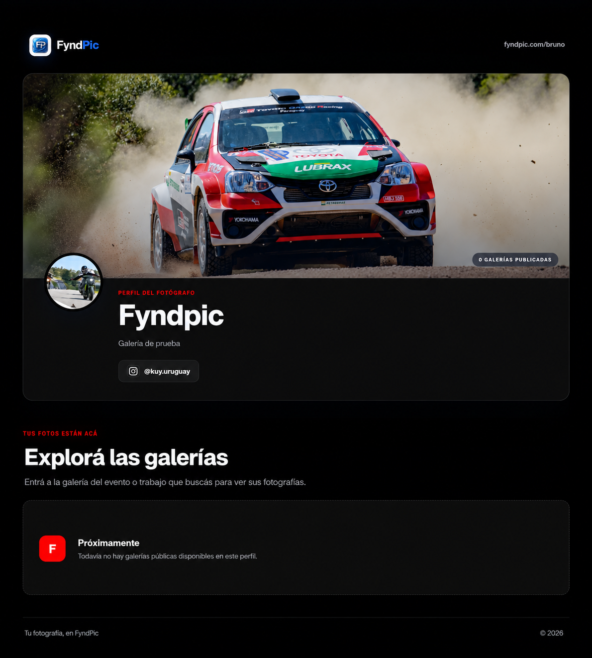 Captura original completa de la miniweb de FyndPic, proporcionada para esta portada